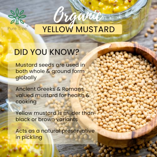 Image of Pure Tree Certified Organic Yellow Mustard Seeds | 5 Kg / 5000 g | Rai Seeds Pili Sarson dana | Aromatic Kadugu Avalu | Sarso Seeds