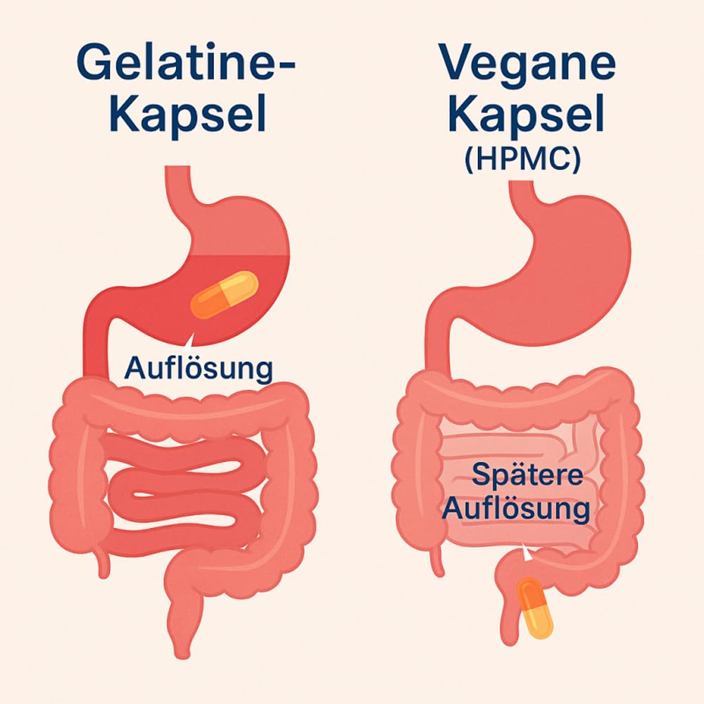 SPARGEL Wurzel SHATAVARI 360 Pulver Kapseln - ASPARAGUS Wirkung nach Ayurveda & Hildegard von Bingen - ADAPTOGEN & natürlicher STRESSKILLER - NATUR PUR - OHNE ZUSATZSTOFFE!! 26840-360