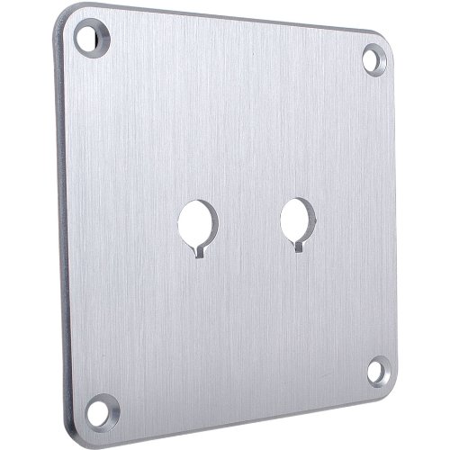 Dayton AudioSBPP-SI Binding Post Plate Silver Anodized
