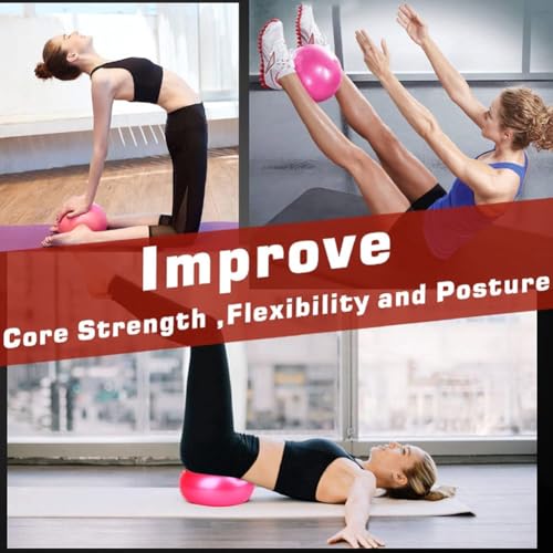 Image of 9 Inch Exercise Pilates Ball Mini Exercise Barre Ball for Yoga,Stability Exercise Training Gym Anti Burst and Slip Resistant Balls Physical Therapy Improves Balance, Core Strength