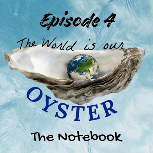 004 Will discusses The Notebook