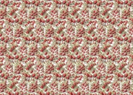 PAPERSFORYOU Tela de encuadernar Fruit´s Market Strawberry IV 70x50cm
