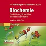  Bild-DVD, Müller-Esterl, Biochemie: Die Abbildungen des Buches