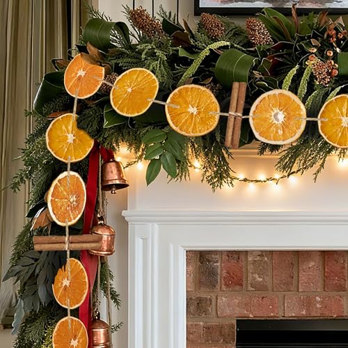 NRSOMOO Christmas Decorations-10Ft Dried Orange...