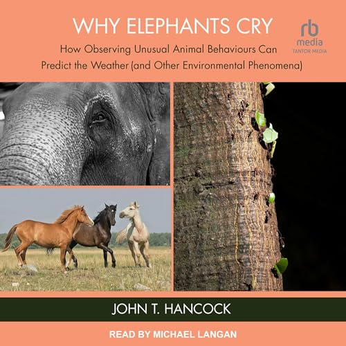 Why Elephants Cry by John T. Hancock episode artwork