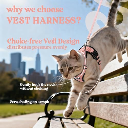 Image of rabbitgoo Cat Harness and Leash Set, Escape Proof Vest, Light Salmon Pink | Soft Breathable Mesh, Easy Adjustable Fit, Snap Buckles, Sturdy Clip, Reflective Strips, for Small & Average Cats Walks, Xs