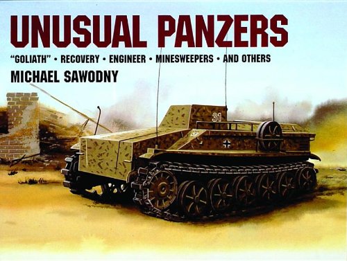 Unusual Panzers