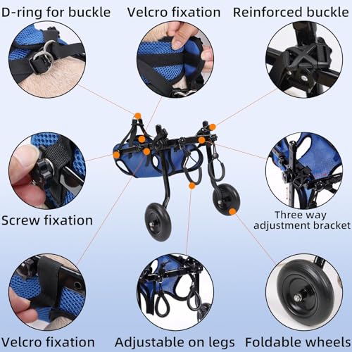 Support de hanche et attelle de jambe pour chien : fauteuil roulant à conception stable