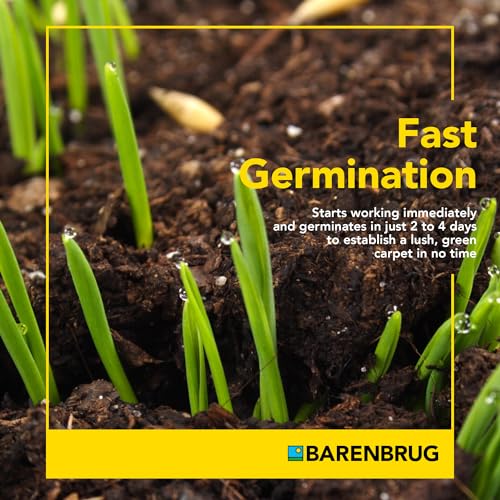 Barenbrug Winter Wonderlawn Grass Seed for Southern Lawns, Fast-Acting Durable Grass Seed Mix for All Weather Conditions, 25-lb. Bag