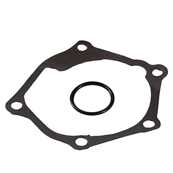 Amazon.com: AUQDD AW6149 Professional Water Pump Kit w
