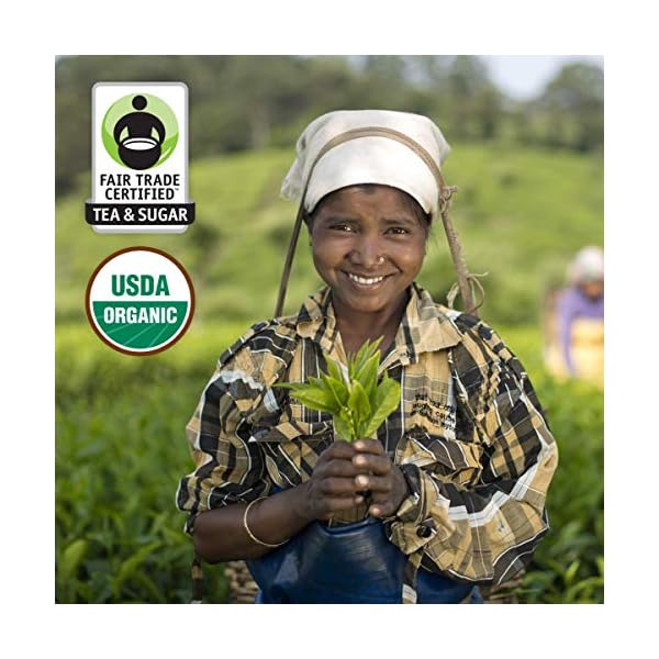 Honest Tea Organic Fair Trade Half Tea & Half Lemonade Gluten Free, 16.9 Fl. Oz, 12 Pack