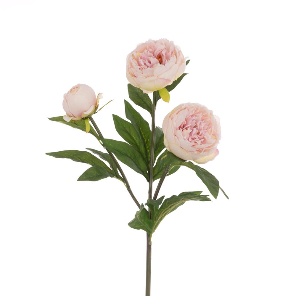 Floristrywarehouse Pink Faux Silk Long Peony Stem 76Cm/30 Inches Tall Light