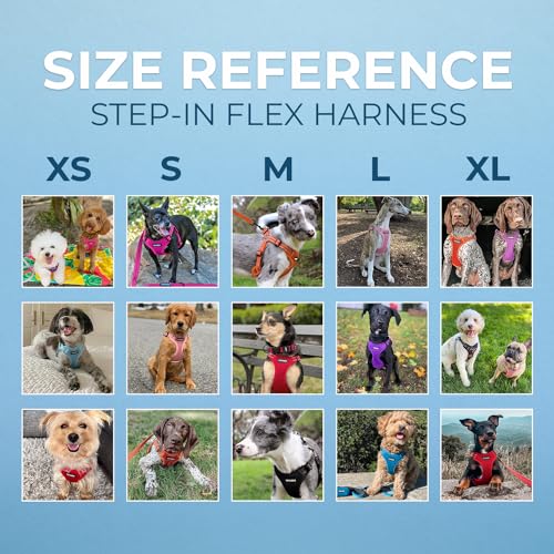 Best Pet Supplies Voyager Adjustable Step-in Flex Breathable Mesh Dog Harness for Small Medium Large Dogs (Orange), XL by Best Pet Supplies - Image 6