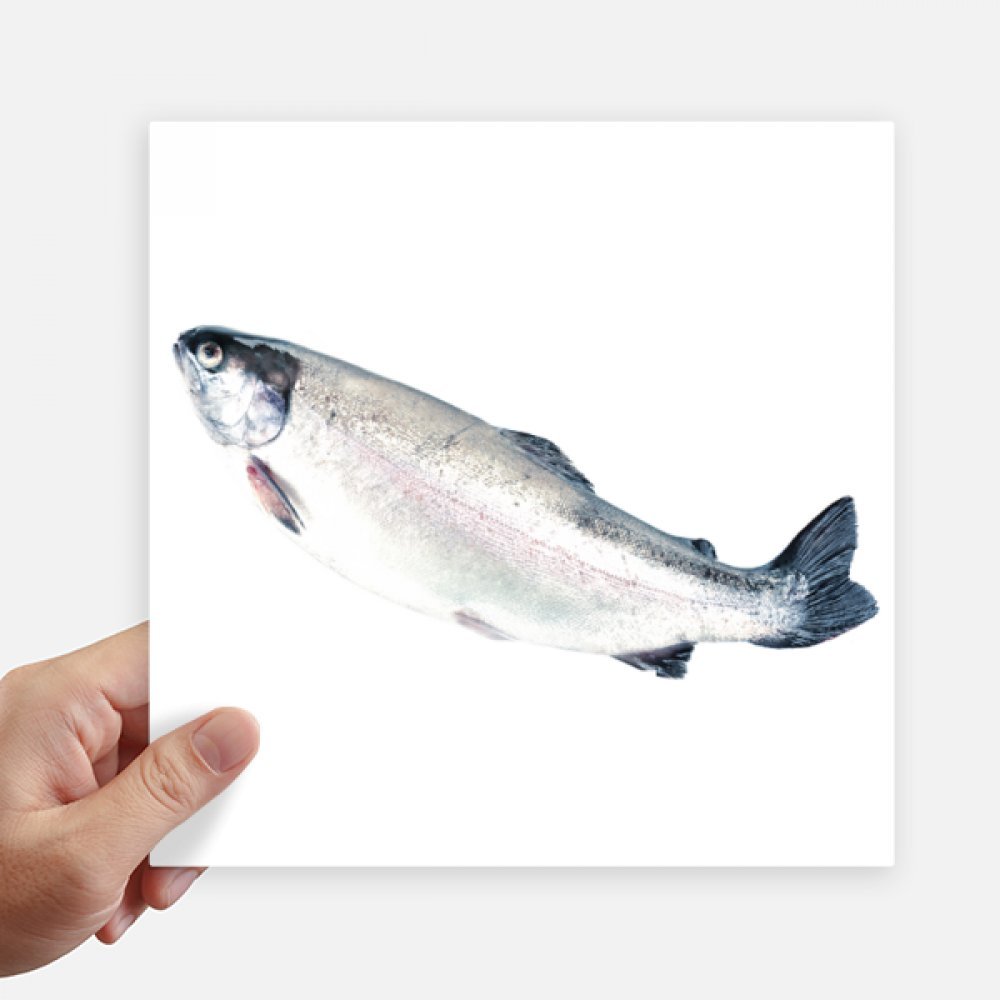 Autocollant carre poisson de mer multicolore 20cm stickers ordi et moto
