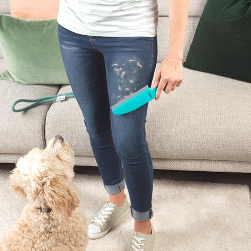 Beldray LA034207UFFEU7 Antibac Pet Plus Polsterbürste – Dog Cat Haarfusselentferner Pinsel, Gummiborsten und Abstreifer Lippenrand, für Teppiche, Möbel, Haustierbetten, tragbare Teppichkehrmaschine