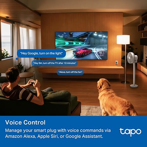 Image of Tapo P116M 6A Mini Wi-Fi Smart Plug, Energy Monitoring & 4-Way Safety Protection | Compatible with Alexa, Google Home, Apple Home, Samsung SmartThings via Matter | Ideal for Small Appliances