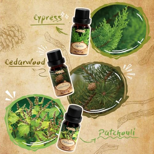 Image of SALKING Woody Essential Oils Gift Set, Natural and Pure Aromatherapy Oil