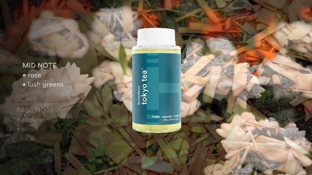 Amazon.com: Homedics SereneScent Tokyo Tea, Fresh & Woody Home