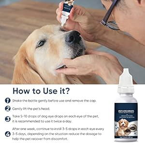 Cataract Drops for Dogs Dog Eye Drops Improve Vision Clarity Improve Eye Vision and Cataracts2 X 10 Ml  Cucciolini Doodles Cataract drops for dogs dog eye drops improve vision clarity improve eye vision and cataracts2 x 10 ml   cucciolini doodles
