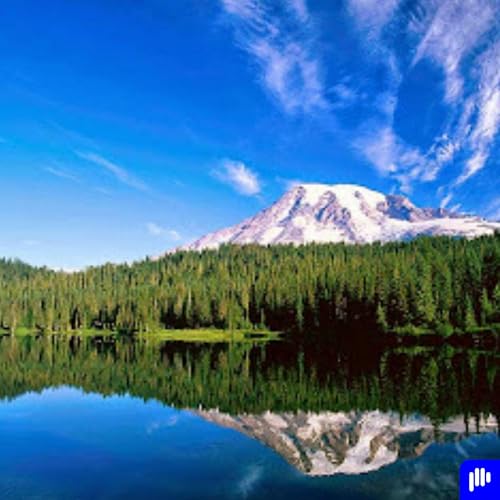 『العلاقة مع الله』のカバーアート