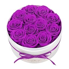 12 Roses Purple