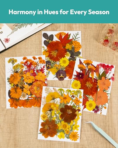 Image of Dried Flowers, Resiners 100Pcs Fall Pressed Flowers for Craft Real Natural Dried Flowers Dry Leaves Kit for DIY Making Crafts Resin Soap Candle Scrapbook Supplies Card Making Jewelry