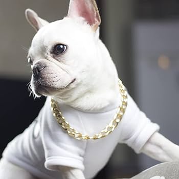 犬服・アクセサリー Yuu 楽天市場】エクストララージ XLARGE パイピングロゴTシャツ