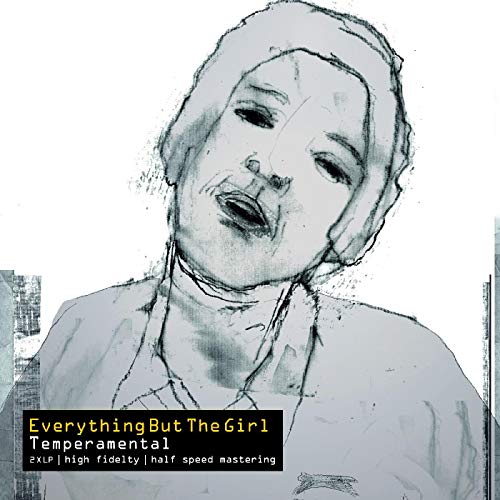 Album art for Temperamental by Everything But the Girl