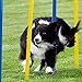Pet Prime Dog Agility Training Equipment for Dog Obstacle Course Backyard 12pcs Weave Poles Slalom Set Portable Dogs Park Exercise Tool