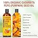 Seven Minerals NEW Pumpkin Seed Oil for Hair Growth, Face, & Body - Big 16oz Bottle - USDA Organic, Cold-Pressed & Hexane Free - Lightweight, Non-Greasy, & Deeply Moisturizing for Scalp, Skin