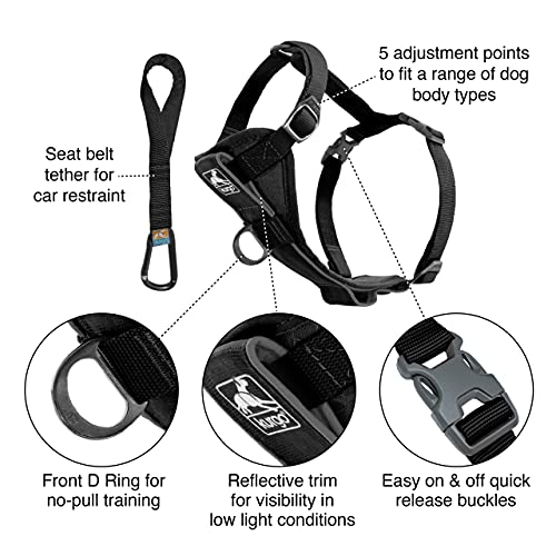 Kurgo Dog Harness | Pet Walking Harness | Medium | Black | No Pull Harness Front Clip Feature for Training Included… - Image 2