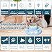 Dufuso Hundespielzeug für Beschäftigung, Intelligenz-Spiel, Hund, unverwüstliches Spielzeug für Hundenapf, Strategiespiel, Interaktives Training, Level 2 (mittelgroß)