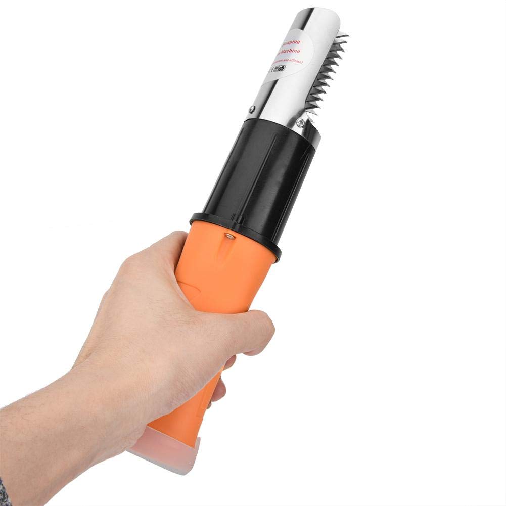 Raspadores de Pescado Eléctricos Inalámbricos Raspador de Escamas de Pescado Extractor de Escamas de Pescado Fácil Herramienta de Limpieza descalcificador de Piel de Pescado(Enchufe de la UE)