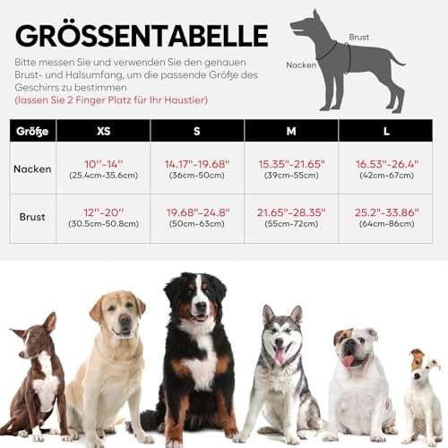 Leuchtendes Hundegeschirr, Colaseeme Light Hundeweste mit reflektierenden Streifen und verstellbarem Geschirr, LED-Hundelicht wiederaufladbar für kleine, mittelgroße und große Hunde (Grün,XS)