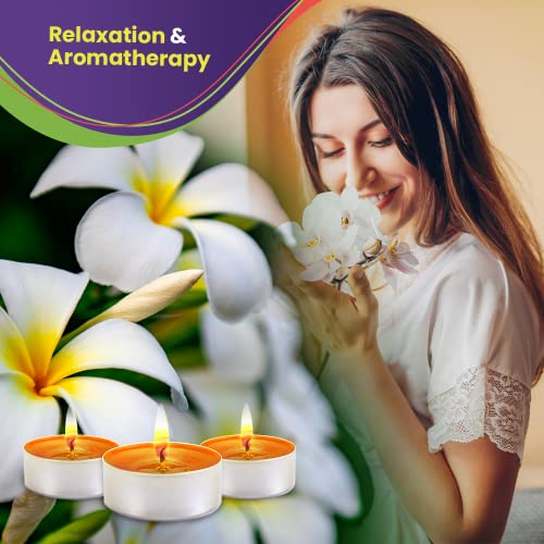 Plumeria Candle Scented Candles Tea Lights Candles - Plumeria Candle - 30 Pack - Plumeria Candle Tea Lights With 3-4 Hour Burn Time Tea Candles - Tealight Candles For Holiday, Wedding And Home #TOP4