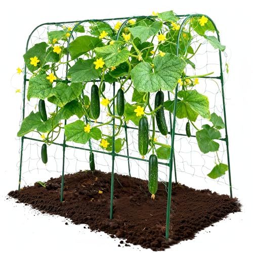 63''X47.2''Cucumber Trellis, Garden Trellis U-Shape Plant Support for Climbing Plants Metel Arch with Netting for Raised Garden Bed Outdoor Cucumbers, Tomatoes, Vine Climbing Plant