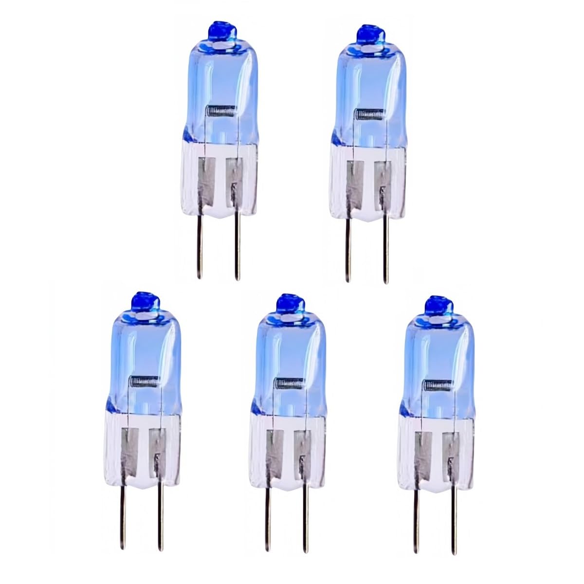 G4 Halogenlampe,12V 20W, 2700 K, Glaskapsellampe für Vitrinenbeleuchtung (12 V 20 W, 20 Stück)