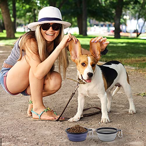 2 Stück Faltbare Reisenäpfe,Haustier Hundenapf mit Deckel und Haken Tragbare Silikon Trinkschale für Katzen,Hunde Reise Wanderungen and Camping (kühl grau und violett, klein)