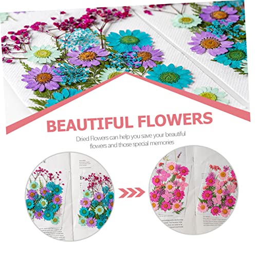 STOBAZA 50 Pçs Pacote De Material De Flores Secas Decorações De Plantas Marca De Livro Decoração Inf
