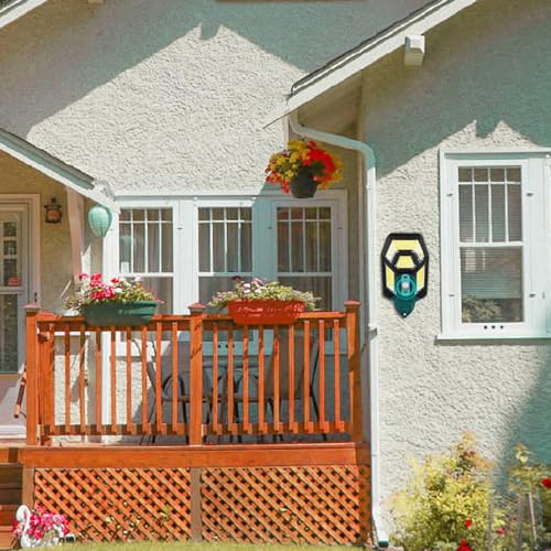 Lampes solaires d'extérieur 3 modes avec éclairage paysager télécommandé