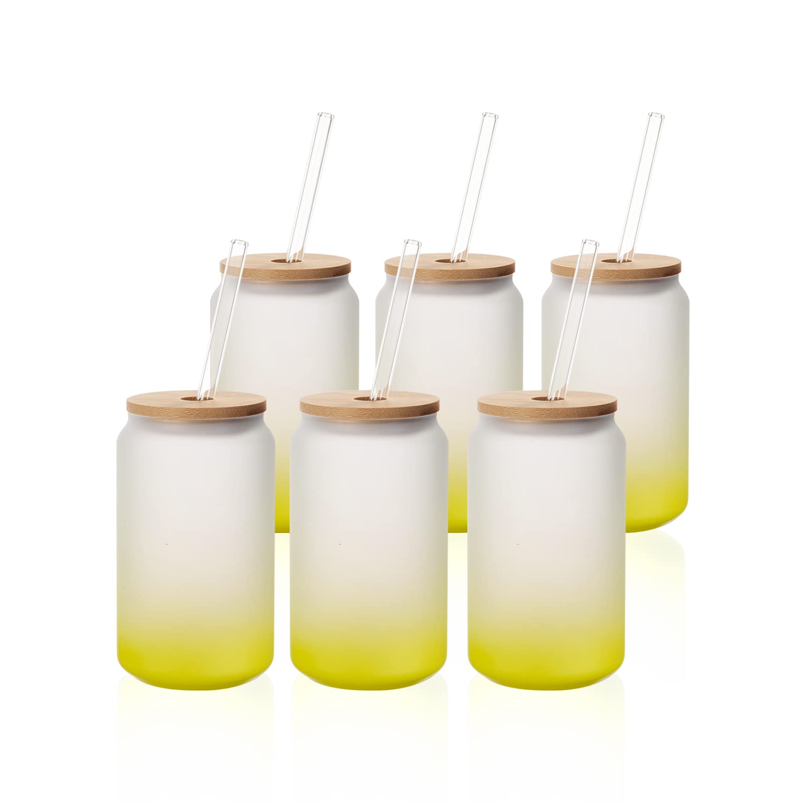 10 Pack Frosted Glass Sublimation Tumblers 16 oz Frosted Beer Cans with