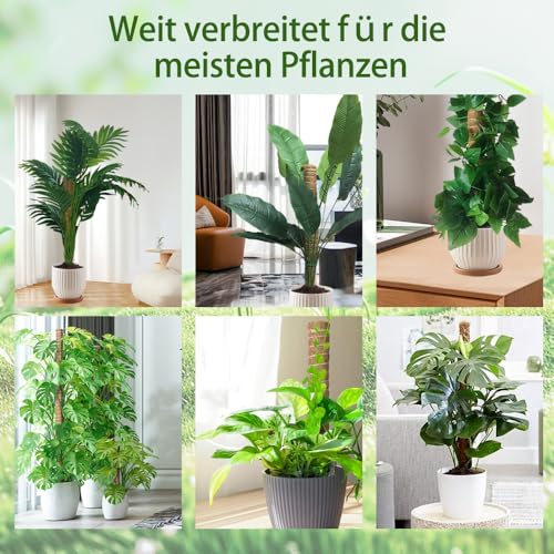 Pflanzen Rankhilfe Monstera Rankhilfe - Erweiterbar Pflanzhilfe Fuer Monstera 6PCS 42cm VerläNgerbar Up To193cm Kokosstab Plant Moosstab Pflanzstab Support Rankhilfe Zimmerpflanzen Plant Support Stick