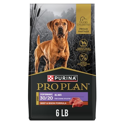 Purina Pro Plan Sport Performance 30/20 Beef and Bison Formula Dry Dog Food - 6 lb. Bag