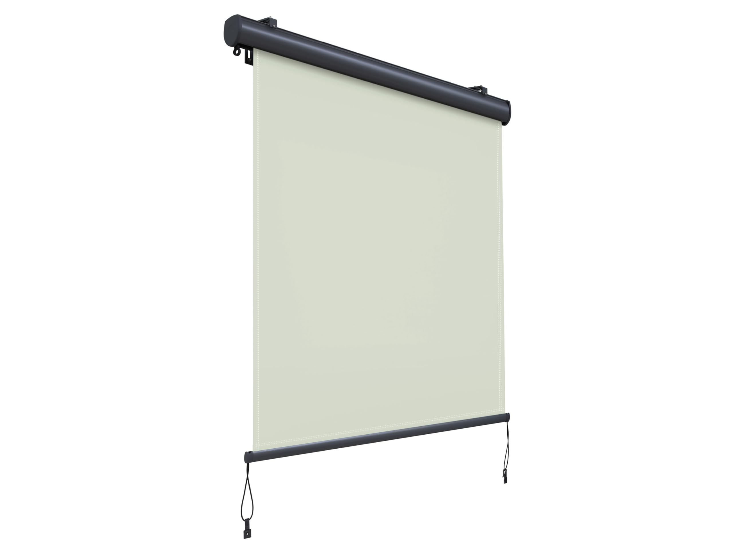 Canopée Store Vertical Extérieur 160 x 250 cm - Rétractable avec Coffre et Manivelle - Brise-​Vue Balcon Terrasse Jardin - Beige