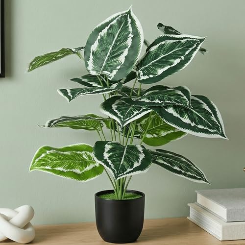 Image of Dekorly Plastic Artificial Palm Plants Leaves Faux Turtle Leaf Fake Monstera Tropical Large Palm Tree Leaves Outdoor Leaf Decorations | 26Inch Plants with Blackpot (Calathea)