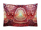 tool lateralus download Werkzeugband Tapisserie Lateralus alex gray Poster