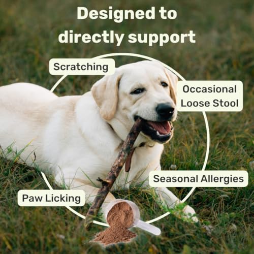 Image of Absolut Pet Probiotic Gut Health Powder for Dogs | 60 Servings