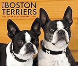 Just Boston Terriers 2017 Calendar