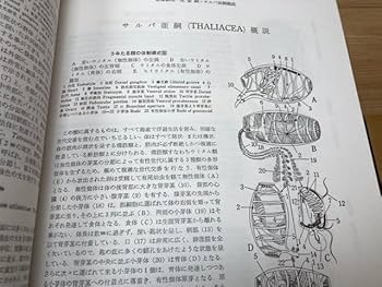 新日本動物圖鑑　上・中・下　全3巻揃い 新日本動物図鑑 全3巻(岡田要, 内田清之助, 内田亨 監修) / 古本