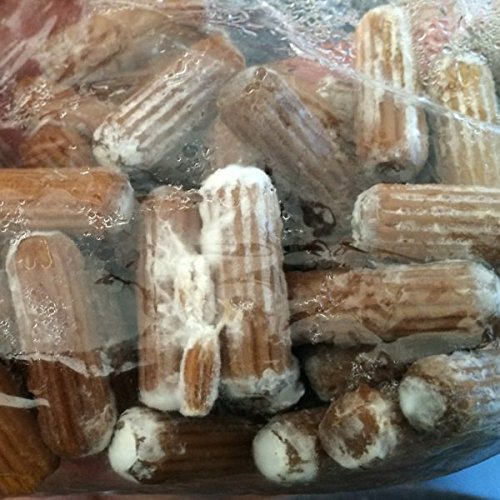 Mushroom Plug Spawn (Hericium erinaceus) Lion's Mane 100 Count